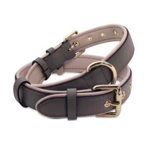 Leather Padded Dog Collar