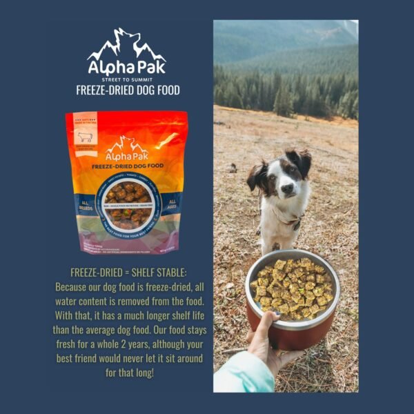 Premium Raw Feed Dried Dog Food