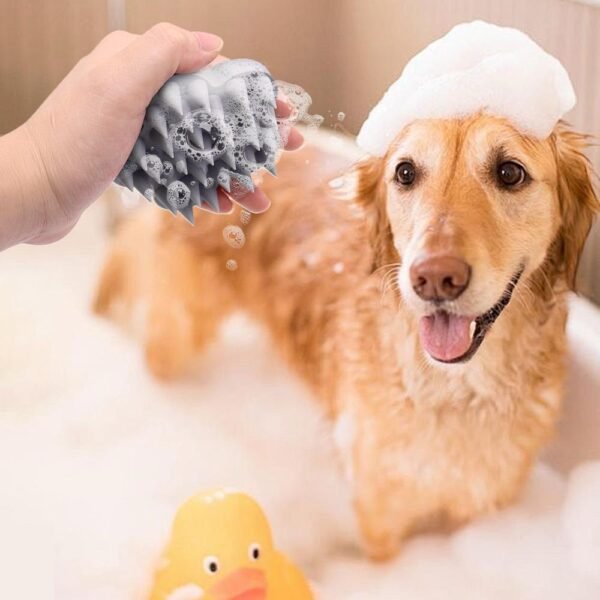 Shampoo Brush