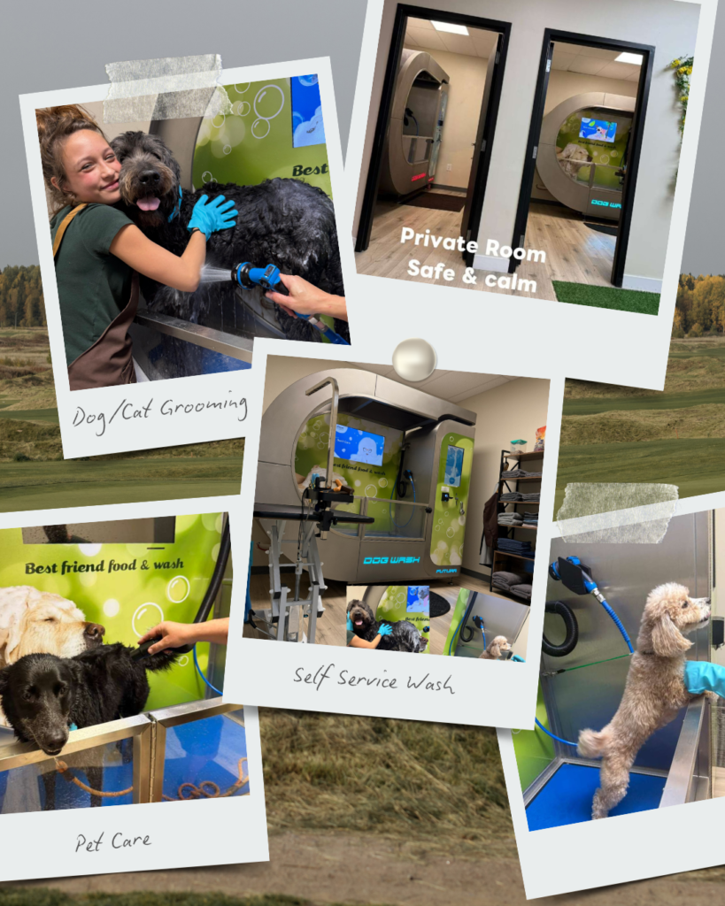 Best friend food and wash